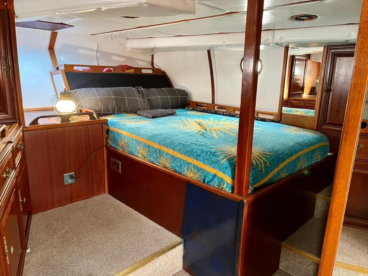 Salidas En Barco Hotel Premiá de Mar Eksteriør billede